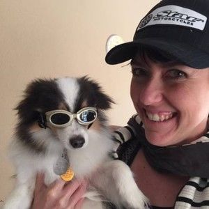 Meet your Posher, Posh